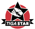 TIGA Star Award